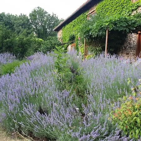 L'estivante * Saint-Austremoine