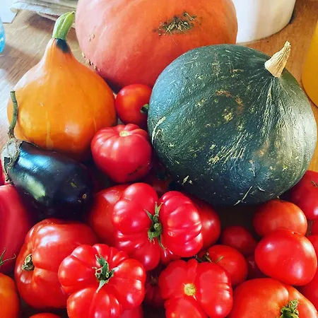 Gasthof L'estivante Saint-Austremoine